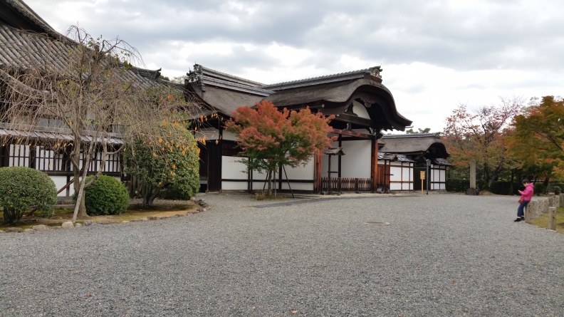 20141114_143622.jpg