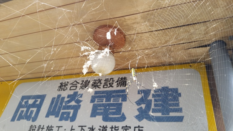 20141120_102829.jpg